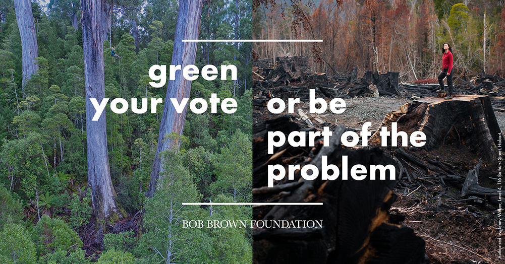 Green Your Vote